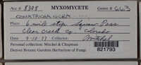 Image Associated With the Occurence